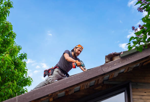 Best Wood Shake Roofing  in Timberlane, IL