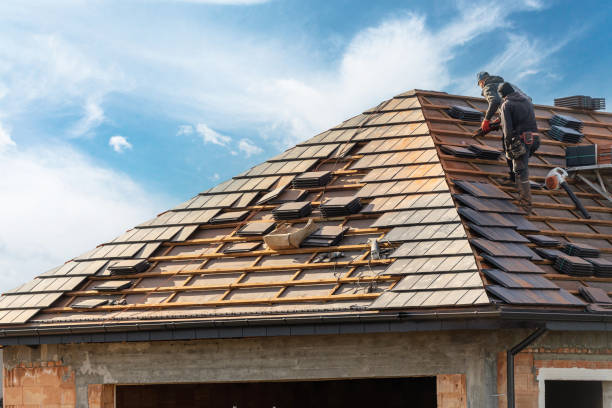 Best Gutter Installation and Repair  in Timberlane, IL