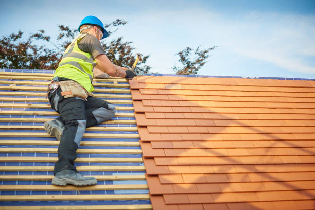 Best Gutter Installation and Repair  in Timberlane, IL